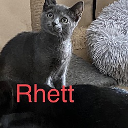 Photo of Rhett