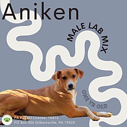 Thumbnail photo of Aniken #1