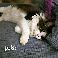 Thumbnail photo of Jackie #3