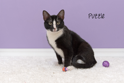 Thumbnail photo of Puzzle #1