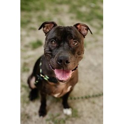 Photo of LOKI