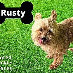 Thumbnail photo of Rusty #3