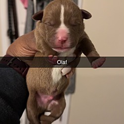 Photo of Olaf