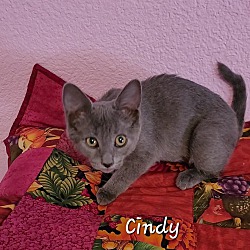 Thumbnail photo of CINDY GRADY #3