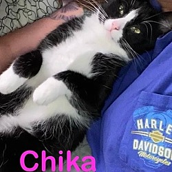 Photo of CHIKA