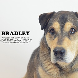 Thumbnail photo of BRADLEY #3