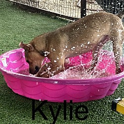 Thumbnail photo of Kaylee #4