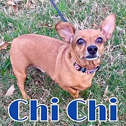 Photo of Chi Chi in Texarkana TX