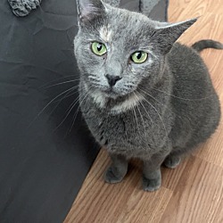 Photo of Biscuits 