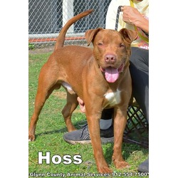 Photo of HOSS