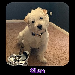 Photo of Glen