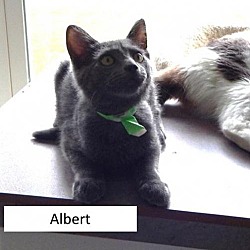 Photo of Albert