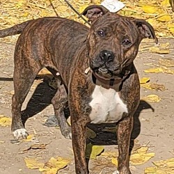 Photo of Roxy