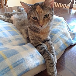 Photo of Sadie