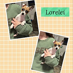 Photo of LoreLei