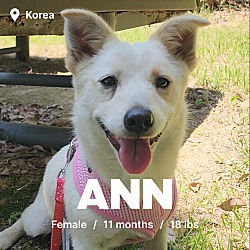 Thumbnail photo of Ann #1