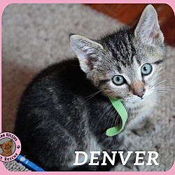 Thumbnail photo of Denver #1