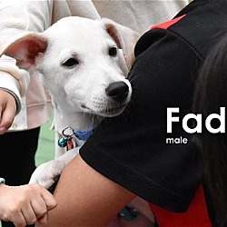 Thumbnail photo of Fadel from Taiwan #3