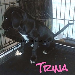 Thumbnail photo of Trina #1