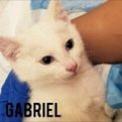 Photo of Gabriel