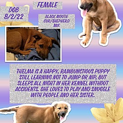 Photo of Thelma