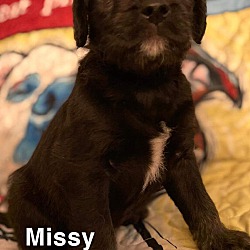 Photo of Missy