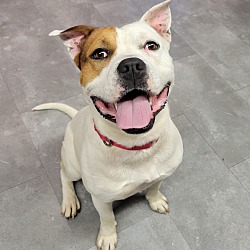 Photo of Walter