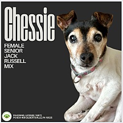 Thumbnail photo of Franchesca (Chessie) #4