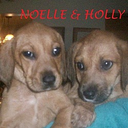 Thumbnail photo of NOELLE & HOLLY #2