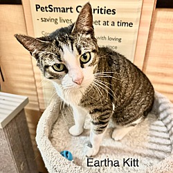 Thumbnail photo of Eartha Kitt #4
