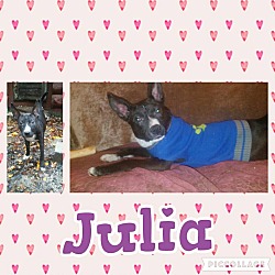Thumbnail photo of Julia #2
