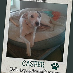 Thumbnail photo of CASPER #2