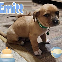 Thumbnail photo of Emitt #1