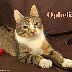 Thumbnail photo of Ophelia #2