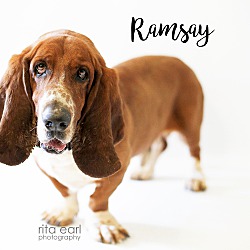 Thumbnail photo of Ramsey #1