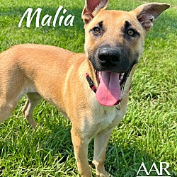 Thumbnail photo of Malia #4
