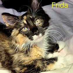 Photo of Frida