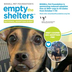 Thumbnail photo of Cooper-$50 Bissell Sponsored Adoption Fee #1