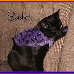 Photo of Sadie - 5 yrs. old