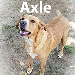 Photo of Axle