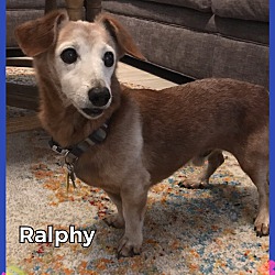 Thumbnail photo of Ralphy #4