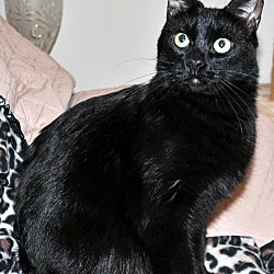 Photo of Ichabod