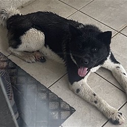 Photo of **MALE NO NAME**