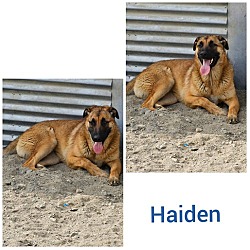 Photo of Haiden