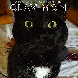 Thumbnail photo of Clay Mom #1