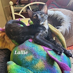 Photo of Lallie