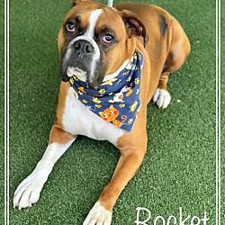 Thumbnail photo of ROCKET #3