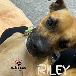 Thumbnail photo of Riley #3