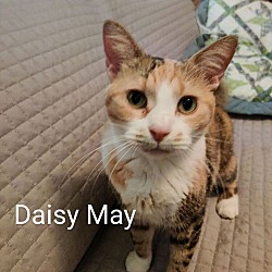 Photo of Daisy Mae