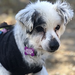 Photo of Walter